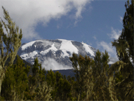 Our first up close look at Kilimanjaro