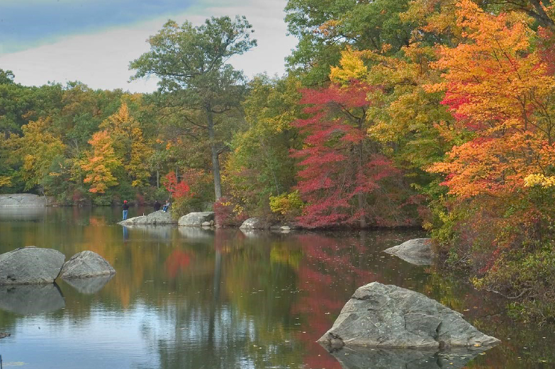 Fall Wetlands