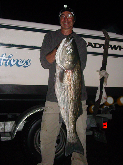 A Night of Tossing Eels