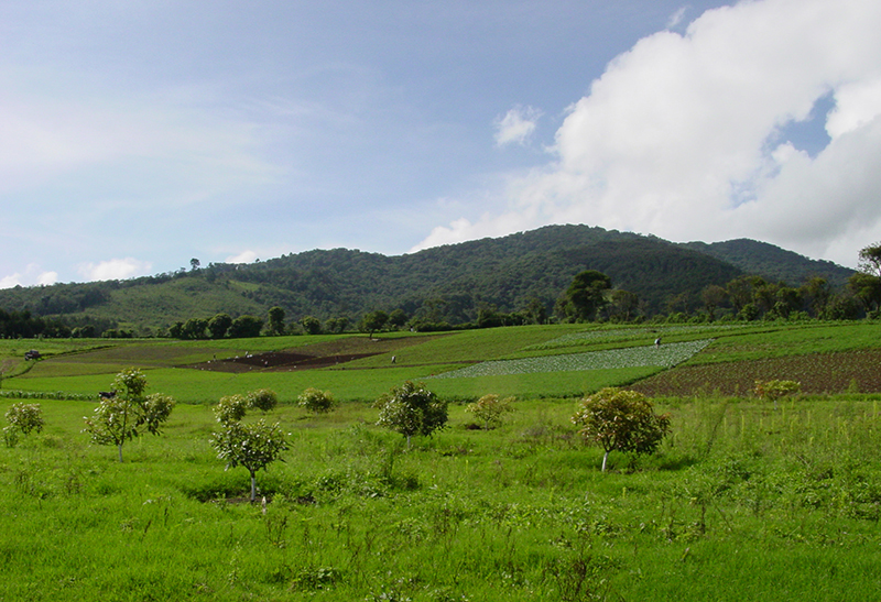 Finca Pacifico